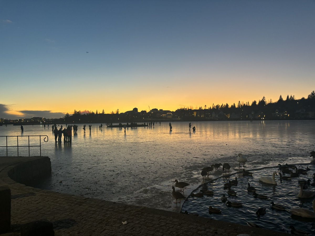 Another fantastic festival <a href="/icelandnoir/">Iceland Noir</a> 🇮🇸  An erupting 🌋, northern lights, a frozen lake and such fun to catch up with so many great authors again.