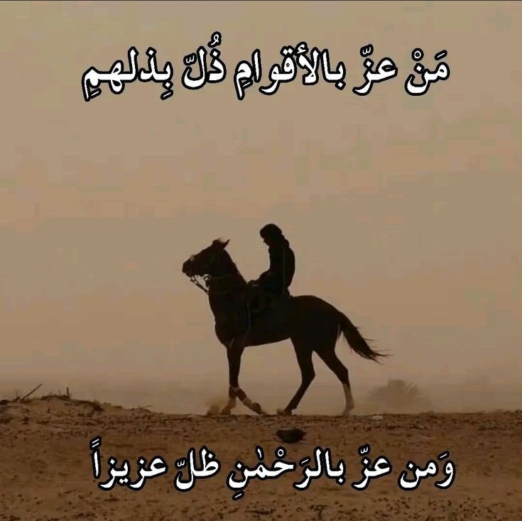 7Nasse_r's tweet photo. 👌 https://t.co/R8QjcQBne8