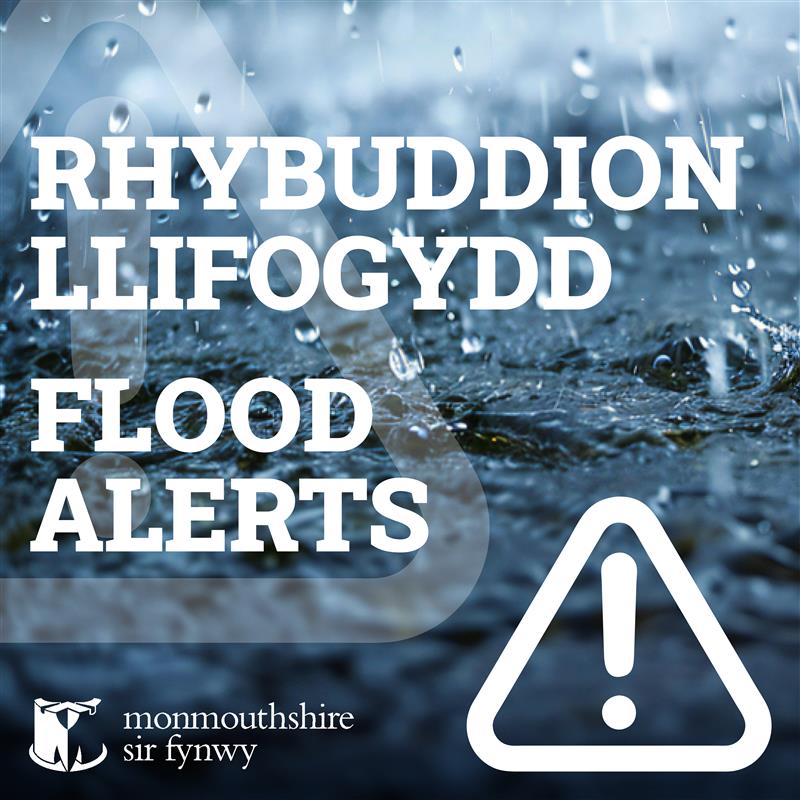 Monmouthshire / Sir Fynwy tweet media