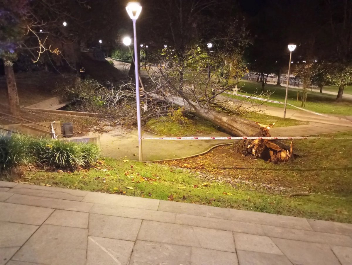 ElTiempoNavarra's tweet photo. Hasta el momento la racha máxima de viento medida en la estación meteorológica automática de @AEMET_PaisVasco en #Irun barrio de #Lapitze es de 107 km/h
Aquí dos incidencias
A la izquierda árbol caído en el parque Sargia y a la derecha otro en #Meaka
Fotografías de @diariovasco https://t.co/XqK8PzM5R3