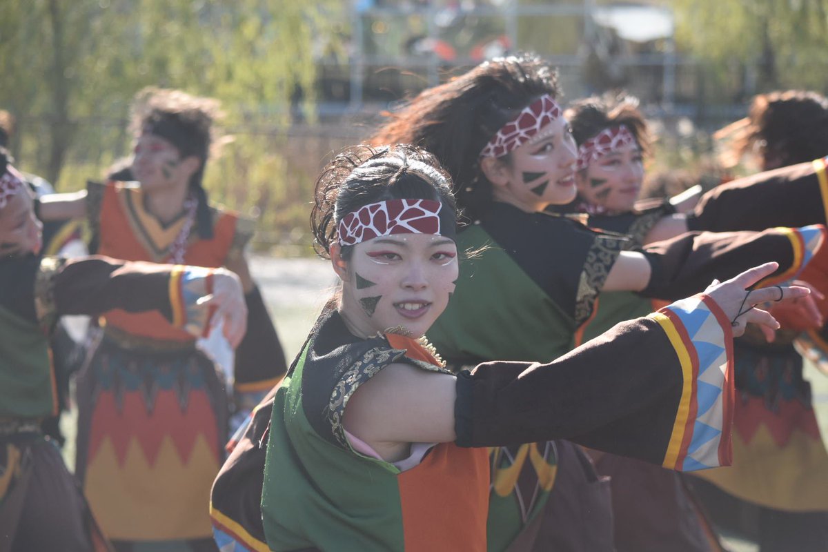 sin4351syashin's tweet photo. 第26回秋のどまつり　愛知淑徳大学鳴踊　2024.11.23 https://t.co/AdJsMmxG4L