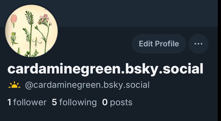 CardamineGreen's tweet photo. I miss you all! Just joined the platform with the blue sky 💙
Join me 💁🏻‍♀️ Hope to see you all there. https://t.co/JPjEOcc7NE