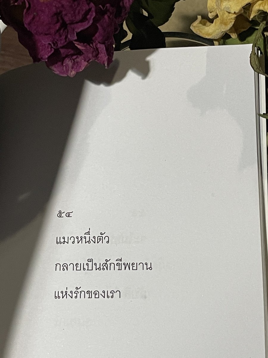 กลิ่นหนังสือ (@klinnangsue) on Twitter photo 