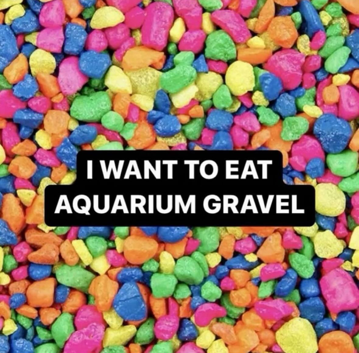 🕐HOURLY🕑 shitpost (@hourly_shitpost) on Twitter photo 