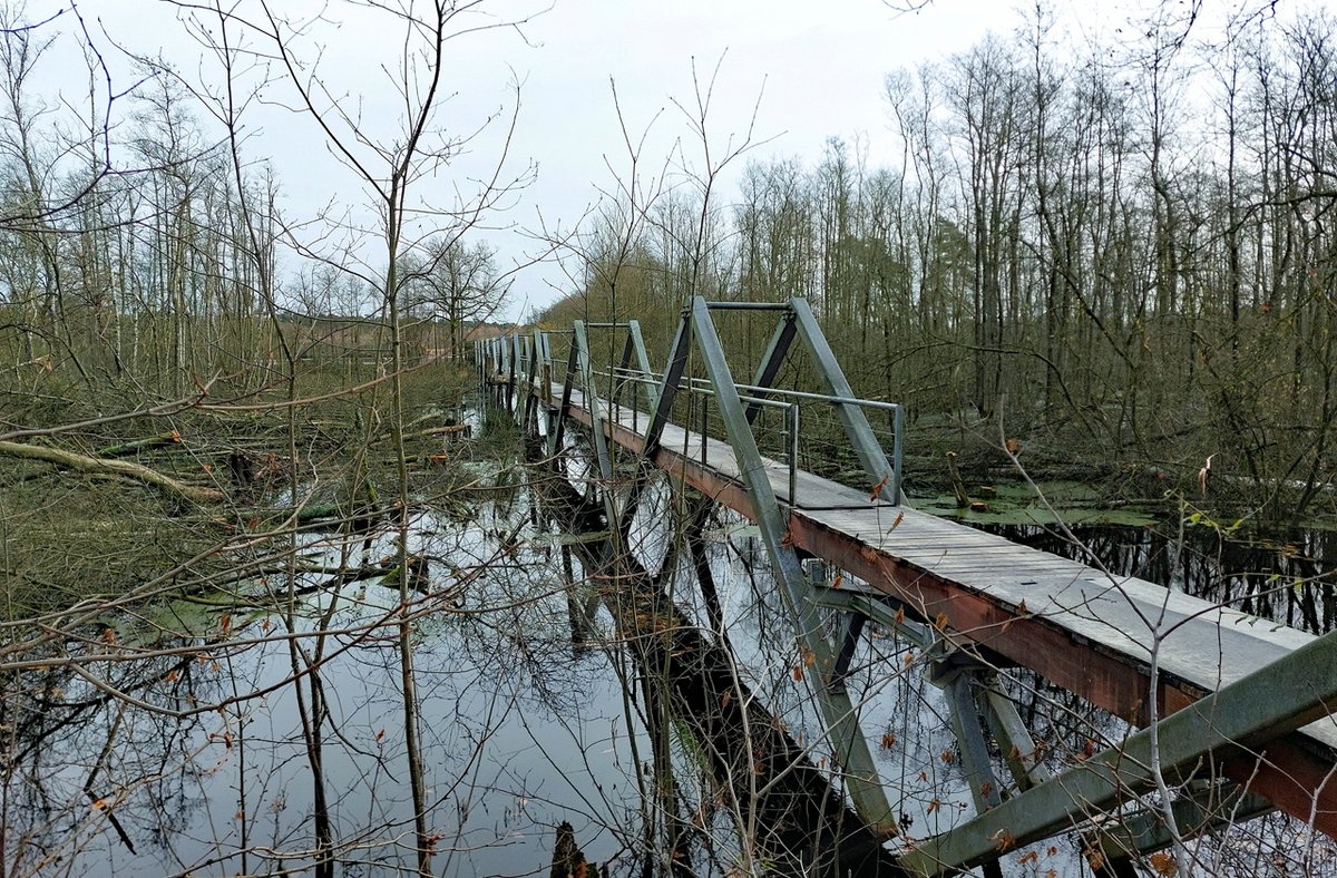HeijdenJozef's tweet photo. Herstel loopbrug naar de Langelinneput Postel nadert voltooiing.

De loopbrug vanaf het kanaal naar de #Langelinneput in #Postel is nu al ongeveer 1-1/2 jaar afgesloten. De herstelwerkzaamheden naderen de voltooiing.

@BoswachterFrans @vogelnieuws @natuurenbos https://t.co/6Ysv1XzEJV