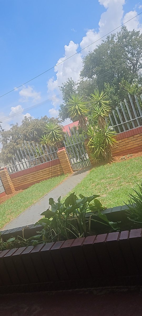 Nthabee20's tweet photo. I like how I am sitting outside planning how I want to extend mara chelete dololo https://t.co/x6Z85h4f1P
