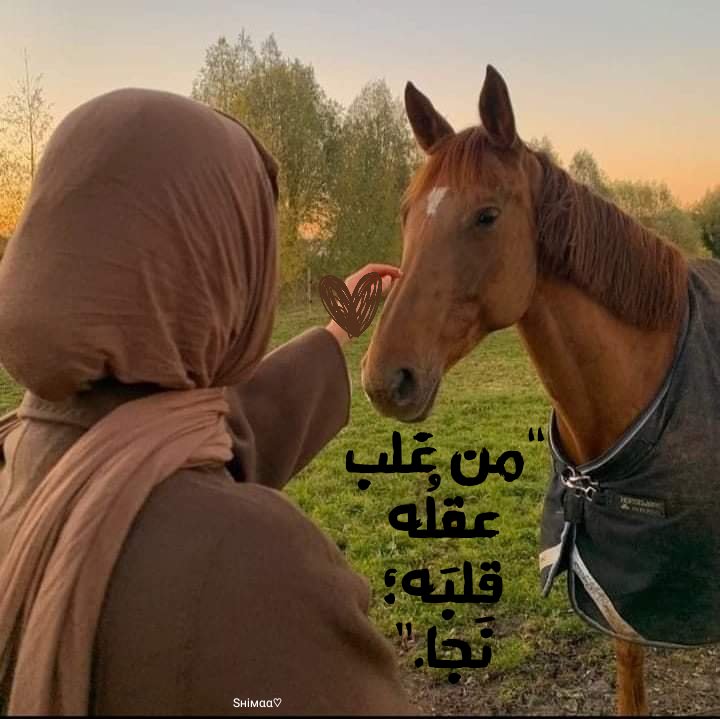 Sнiмαα🦋 tweet media