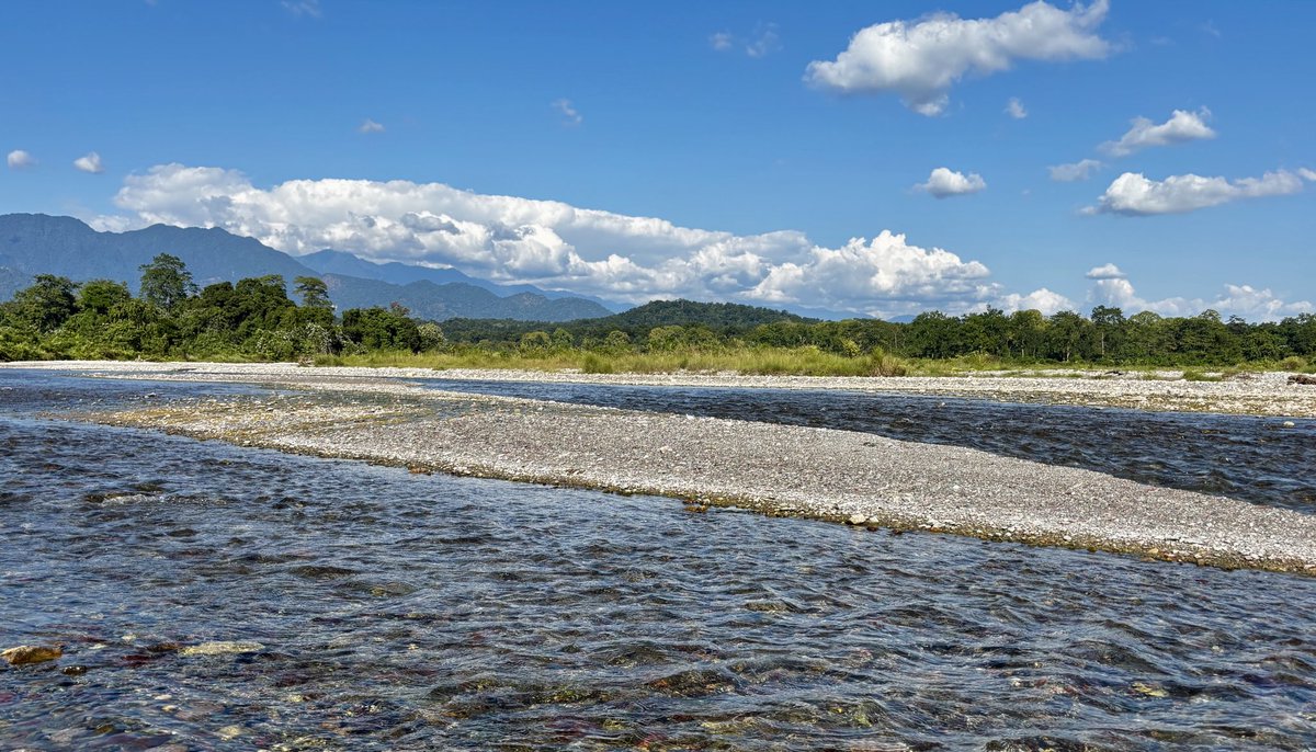 Raimona National Park, Assam, India.