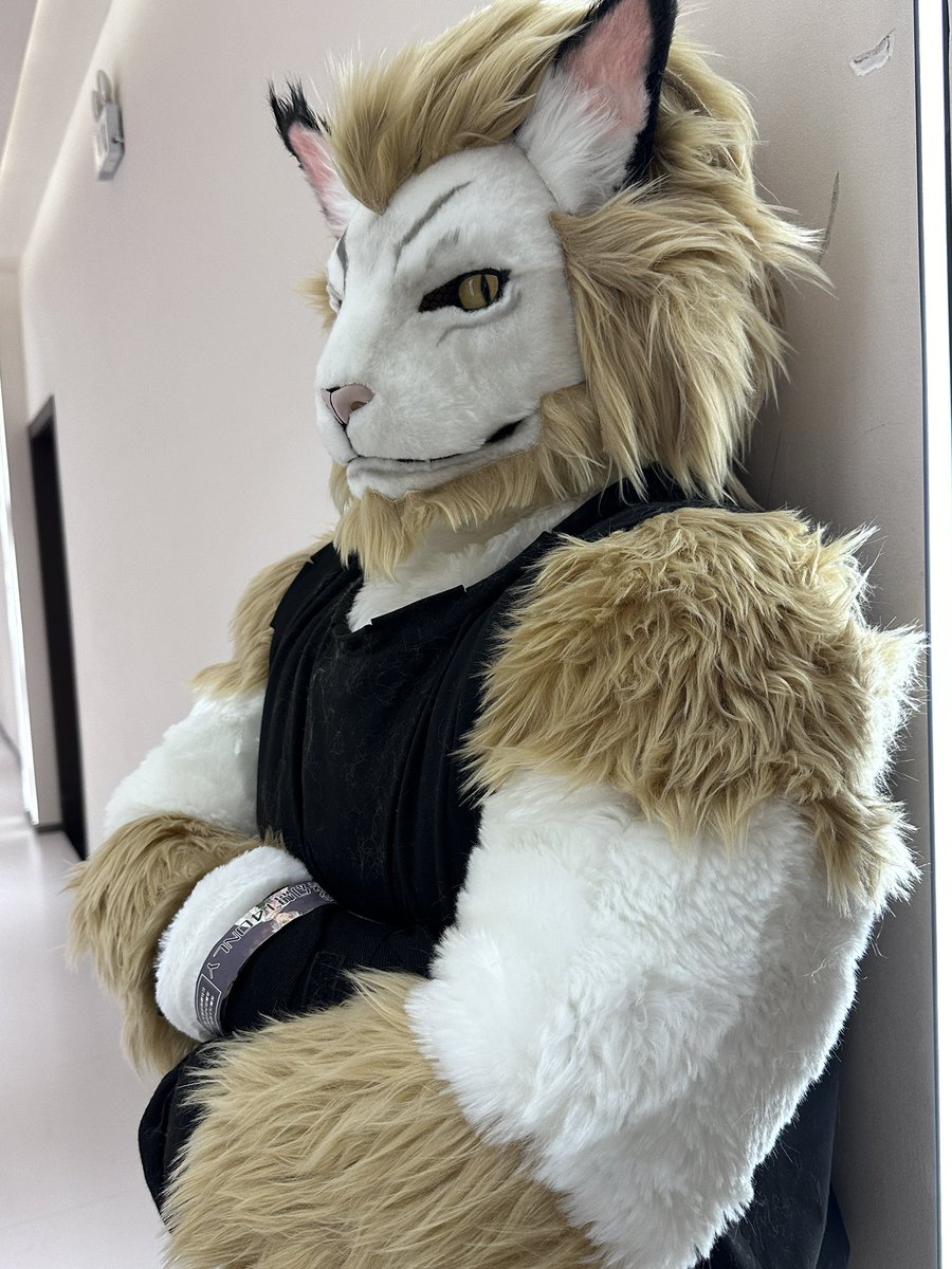 FF14大猫完成了。
#furry #fursuit #furryartist #FursuitsEveryday #太阁工作室