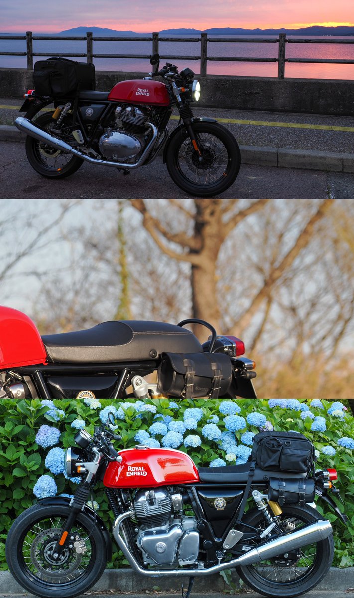 p_r_m_n_r's tweet image. コンチネンタルGT650納車から１年経ちました。
これからもよろしく。