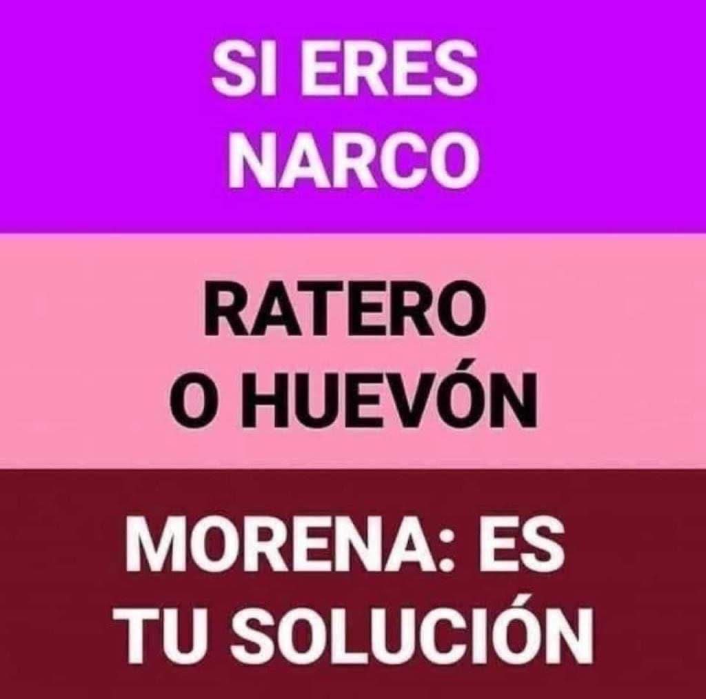 CitlaCarvajaI's tweet photo. - ¿No quieres participar en MORENA?

-Pero, no tengo estudios.

-Y eso que?
solo tienes qué alabar a López Y sheimbaum y decir que todo fue culpa de Calderón

-¡Va! https://t.co/7X9bg9zjtr