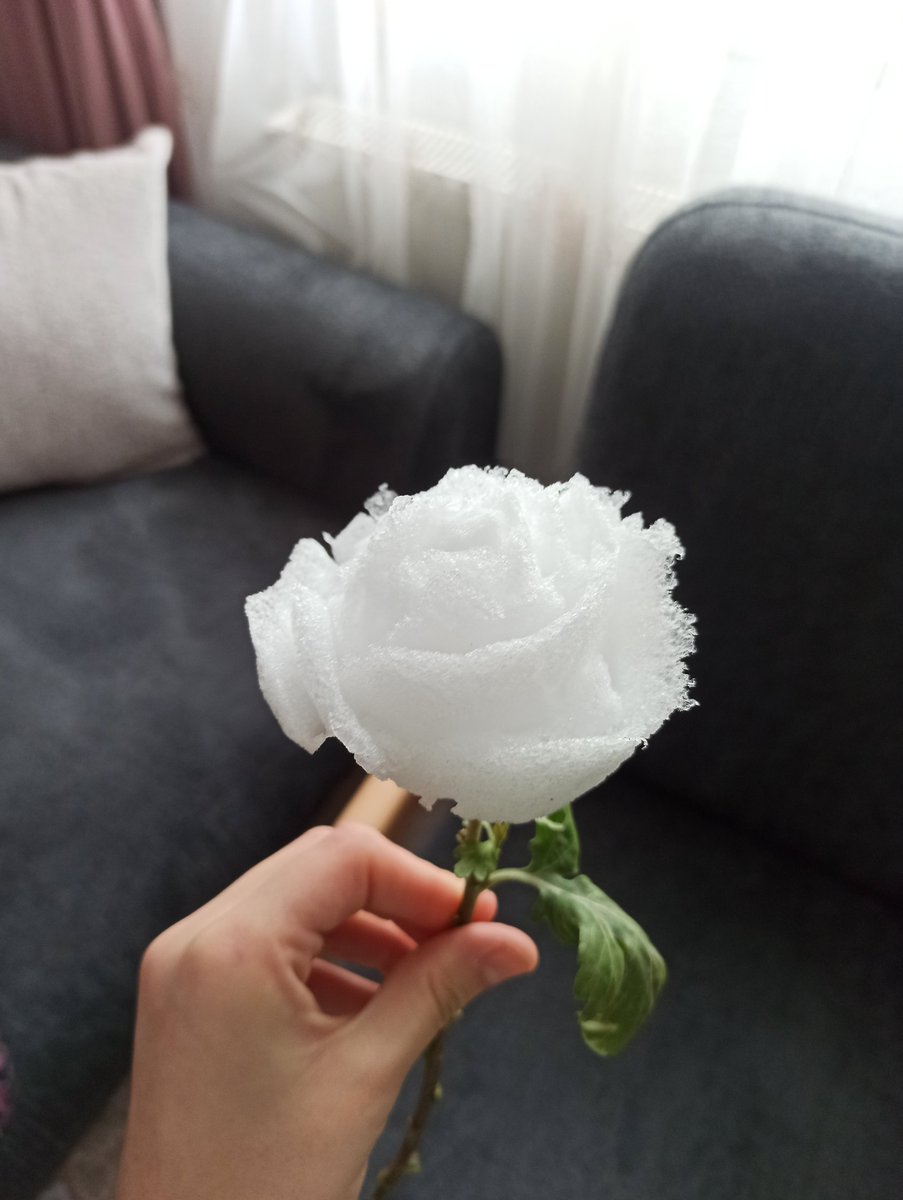 melemetbiri's tweet photo. Kızlar kardan çiçeklerinizi aldınız mıı https://t.co/fewWdEYEsp