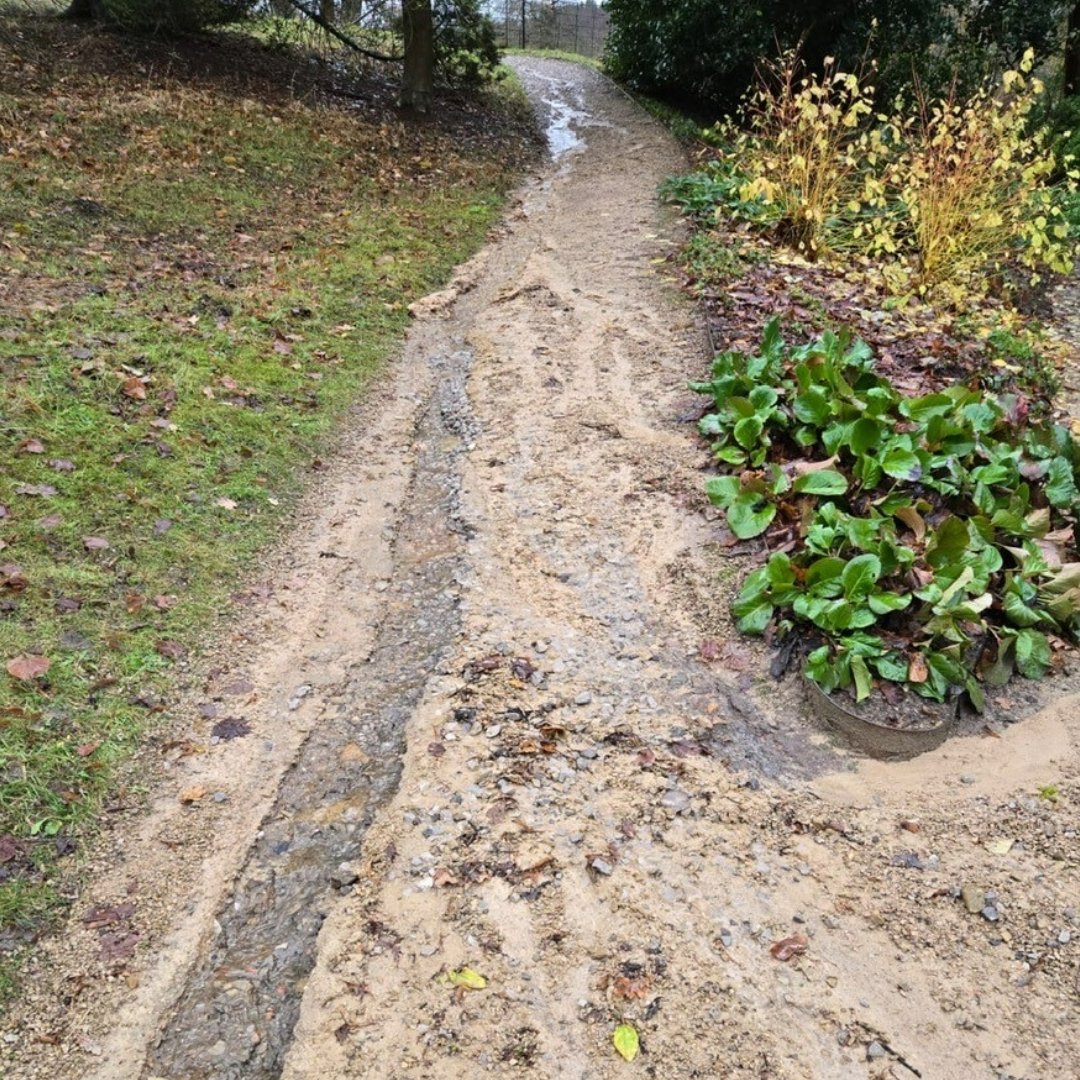 What a difference a day makes!

The snow and ice have melted away, turning in to gushing streams and deep puddles.

Thank you for your patience as the garden remains closed while the team assesses the damage to paths.