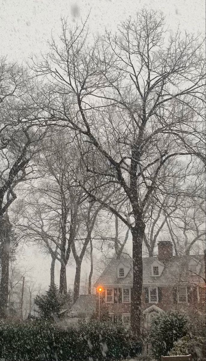 𝑓𝑖𝑟𝑠𝑡 𝑠𝑛𝑜𝑤 🌨️