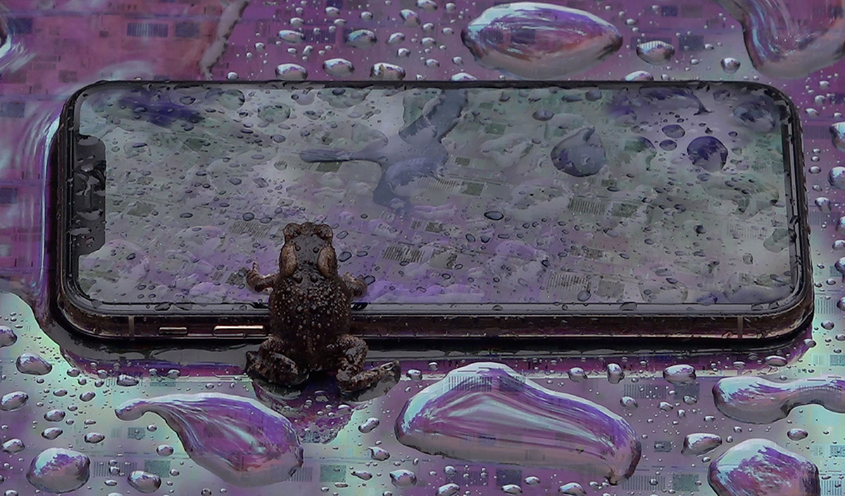 RENCONTRES INTERNATIONALES PARIS/BERLIN tweet media