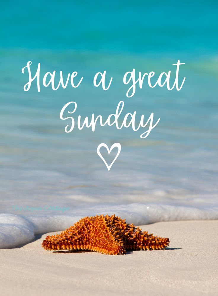 Have a great Sunday ahead X 👪 mutuals