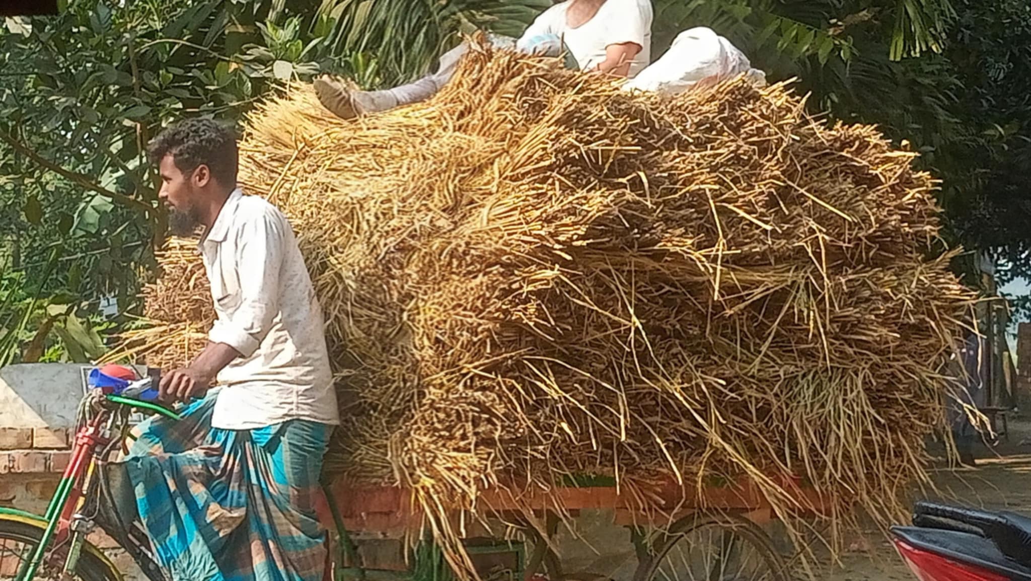 খড়ে কৃষকের বাজিমাৎ