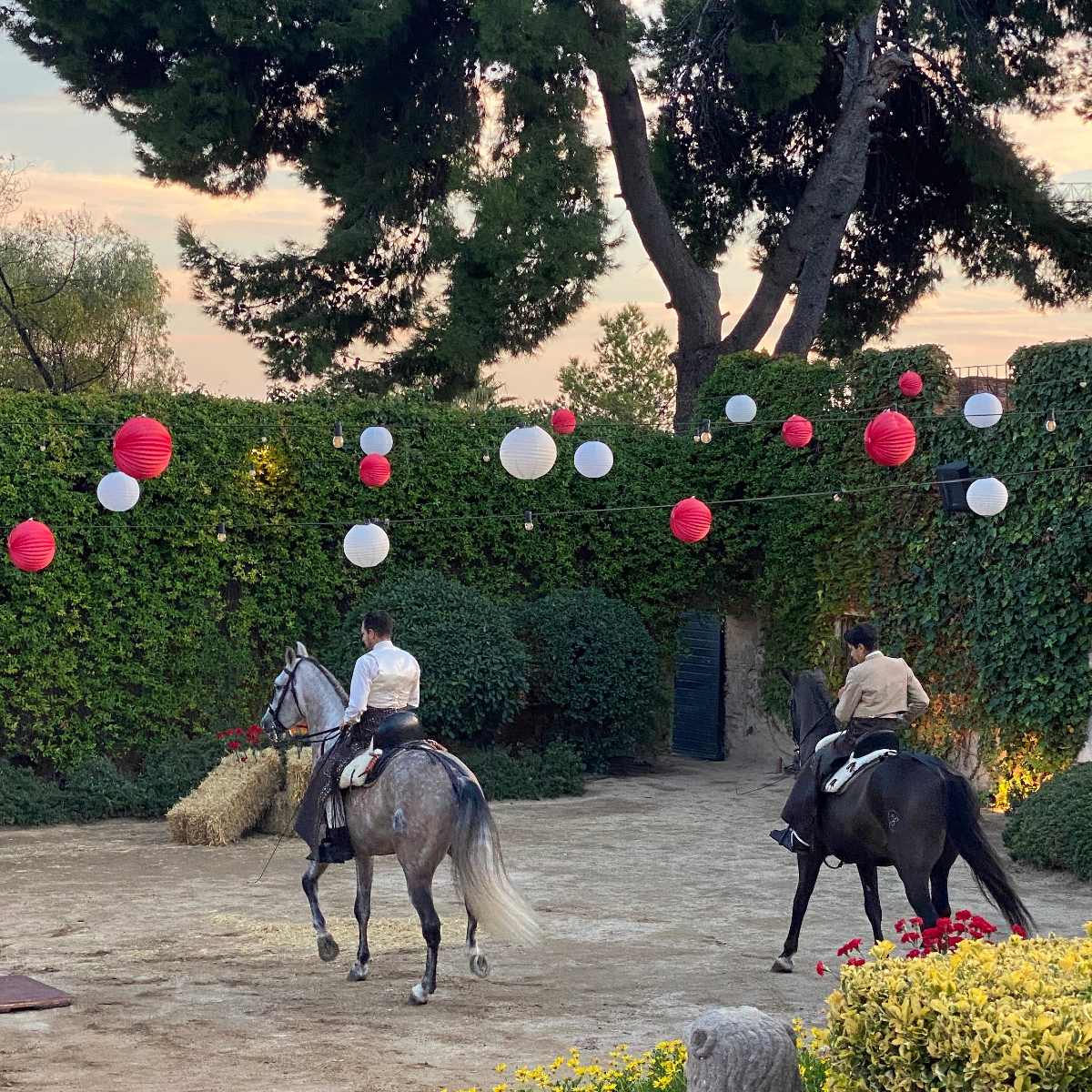 bcnflamenco's tweet photo. 💃🐴 Dreaming of an unforgettable wedding that combines the elegance of horses with the passion of flamenco?  Make your wedding a unique experience with Barcelona Flamenco ✨#BarcelonaFlamenco #FlamencoWedding #EquestrianShow #UniqueWeddings #FlamencoPassion #UnforgettableMoments https://t.co/p4Ry5KOGcr