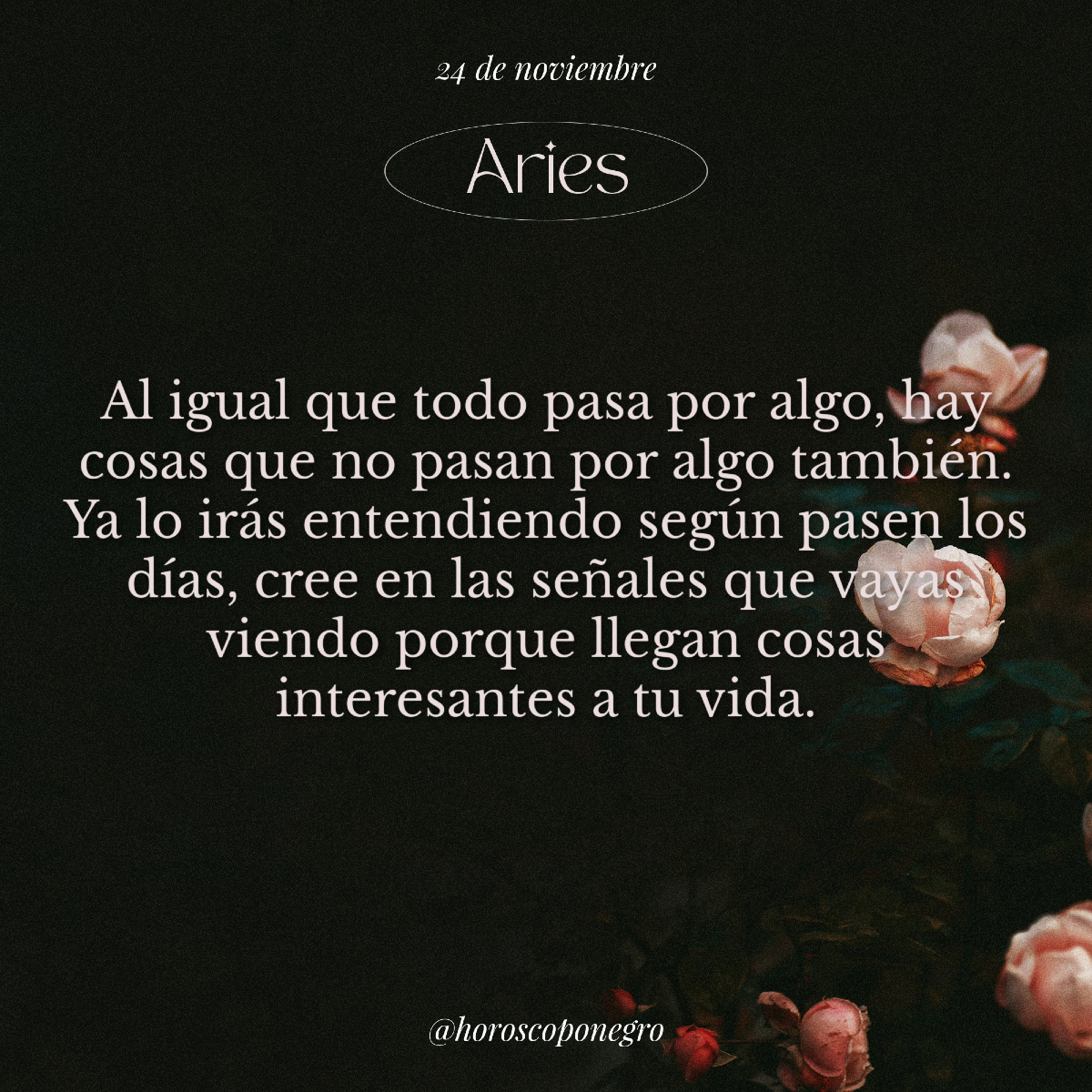 aries_hn's tweet photo. ✨♈️✨ https://t.co/PFlzErJJVH