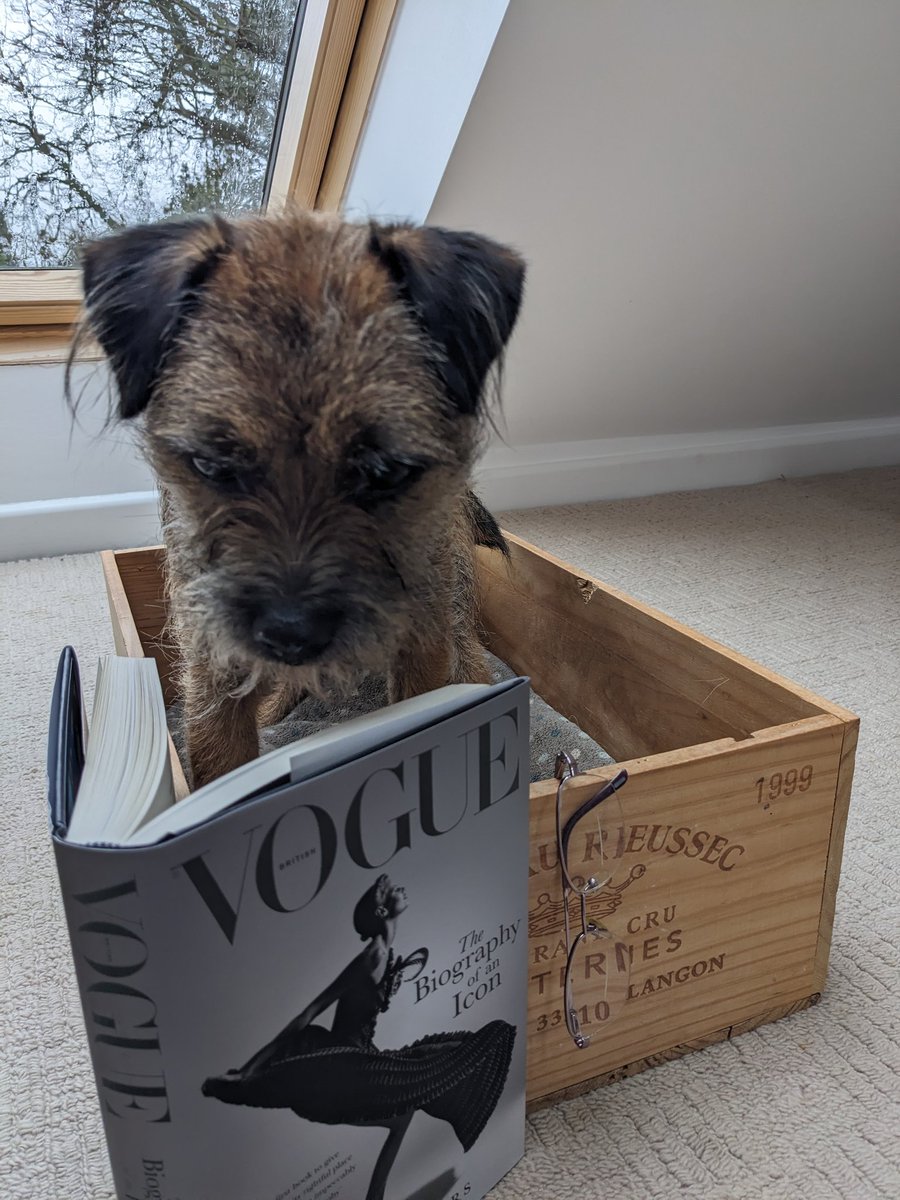 PTrufflesBT tweet media