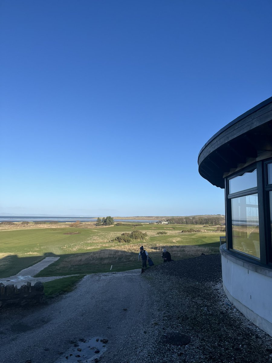 Michael Yan Hip tweet media