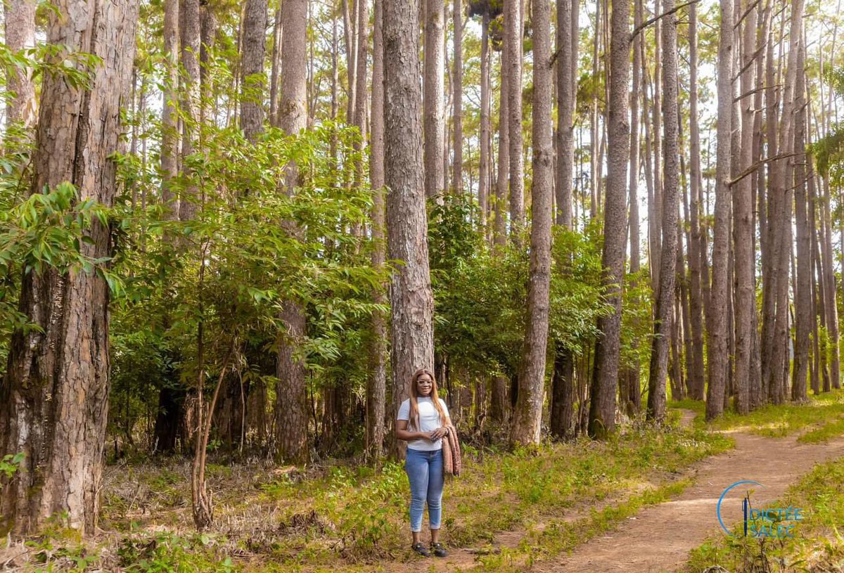 [TOURISME 🛶🏜️⛺️]

La Saison Touristique est officiellement lancée ! Suivez l’exemple de la Célèbre  journaliste <a href="/KABAKADIATOU16/">KABA KADIATOU</a> et partez à la découverte des sites emblématiques de notre paradis. Laissez-vous émerveiller par des instants magiques et inoubliables.

Mention