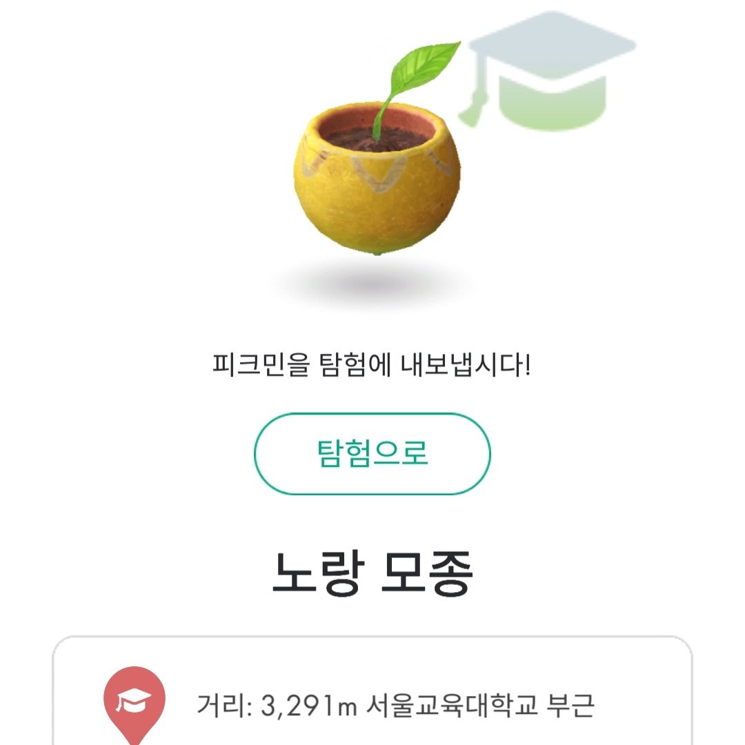 대학 모종 얻었다😄 걸어서 가도 생각보다 별루 안멀구 단독 스팟도 알게 돼서 다 모을 때까지 종종 가게 될듯