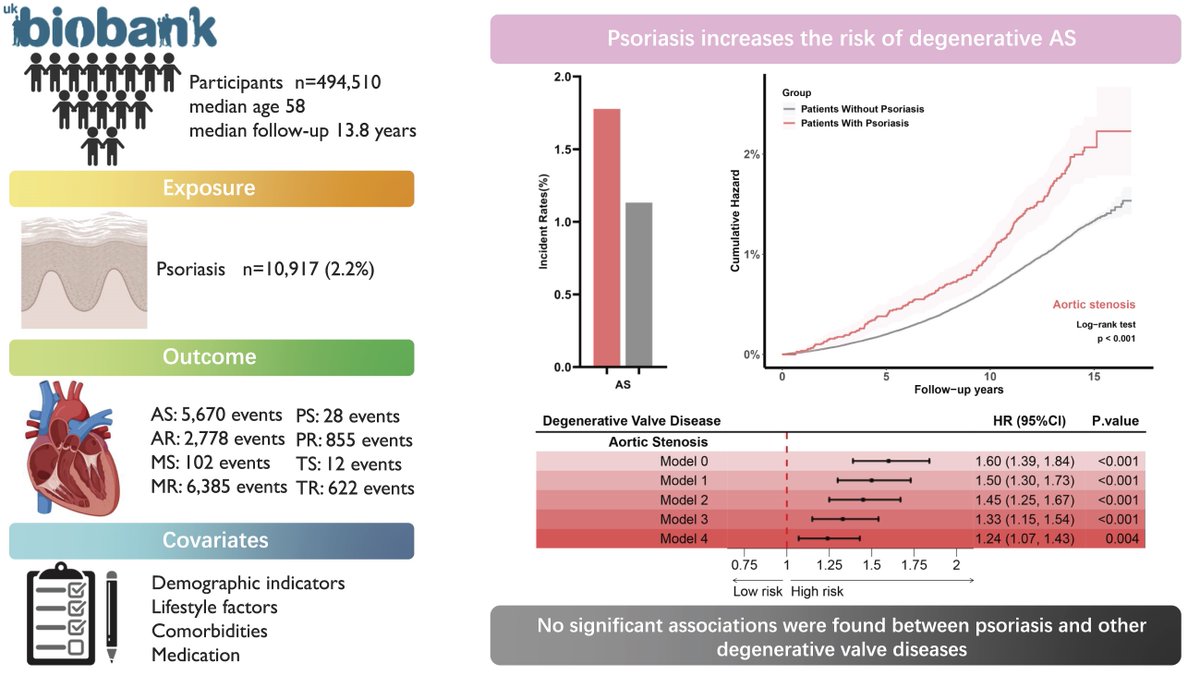 ESC_Journals's tweet photo. Psoriasis and increased risk of developing aortic stenosis, particularly  in women – more in https://t.co/aK8ZkgPweZ
#EHJQCCO #VHD @cpgale3  @diogoasantosfer @adamtimmis https://t.co/FCr5IV23oP