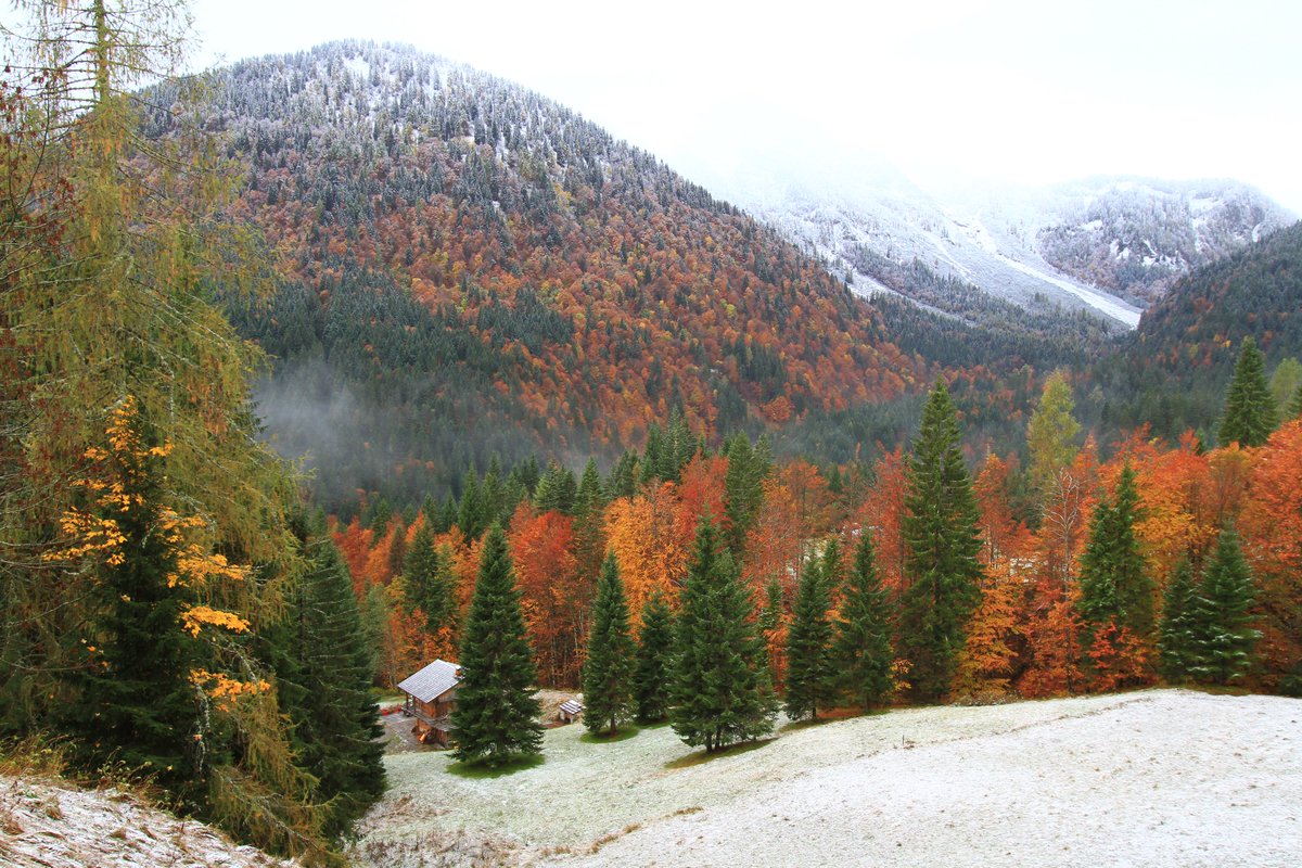 Sauris Zahre BEST TOURISM VILLAGE by UNWTO tweet media