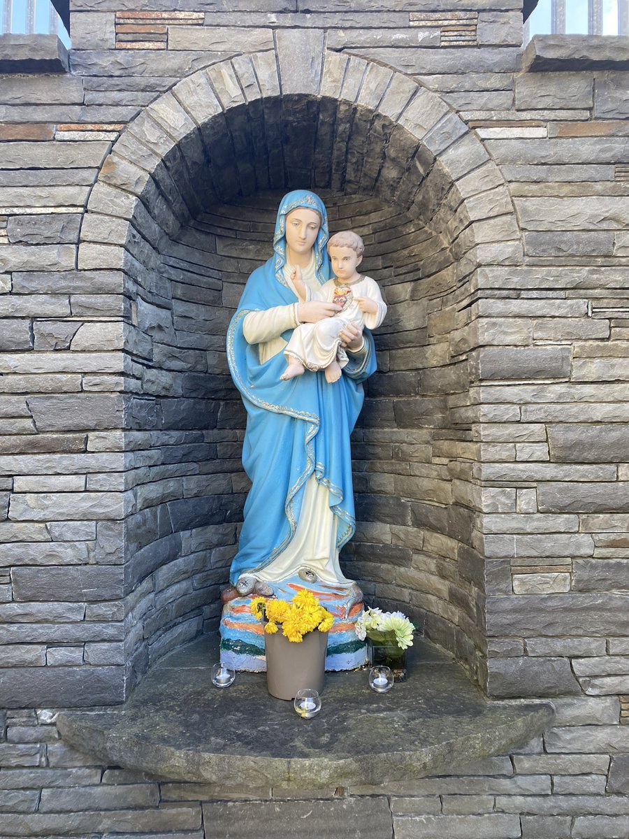 Bishop Paul Dempsey tweet media