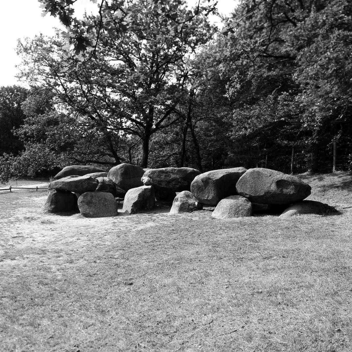 Martin Renger tweet media