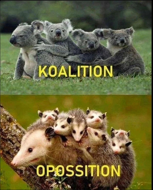 Borkinlp's tweet photo. 😅 https://t.co/nRsYChghGU