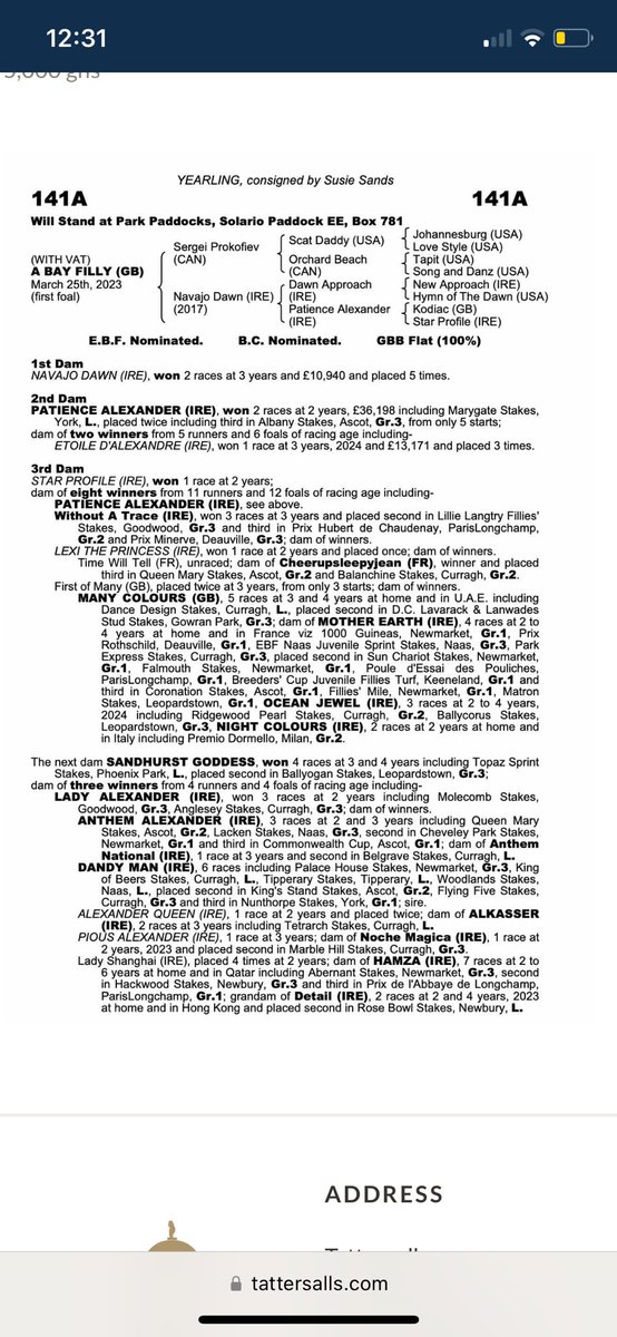 grovewoodstud's tweet image. 💡WHAT ABOUT THE WILDCARD? 

Lot 141a SERGEI PROKOFIEV filly with so much to come! Fab family, speed and class on the page!

100% @GB_Bonus 

Selling Monday @Tattersalls1766 
Solario Paddock EE, Box 781

@WhitsburyManor @GBRI_UK