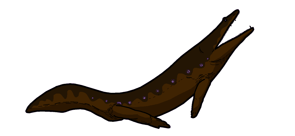 BatmanelVisigodo tweet media