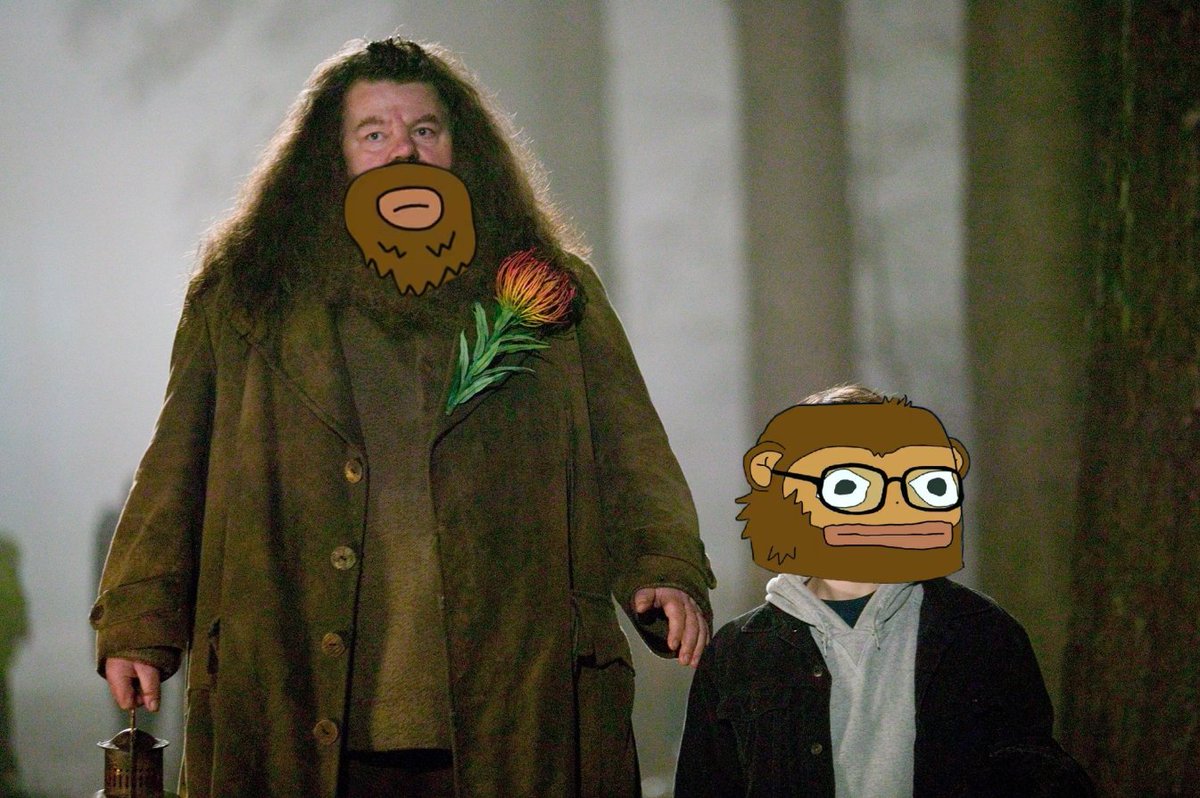 Moonlyght🌙 tweet media