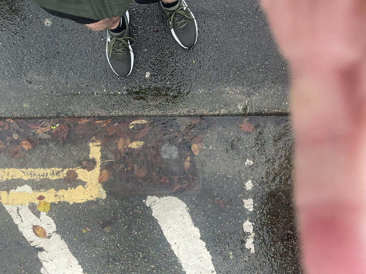 BristolSociety3's tweet photo. All over my city the drains are totally blocked due to neglect by the local council. 

Endless cash for more empty cycle lanes but no money to maintain our basic infrastructure.

The ideologues at @bathnesld aren’t capable of running a bath let alone running the City of Bath. https://t.co/kfpuSdLdaE