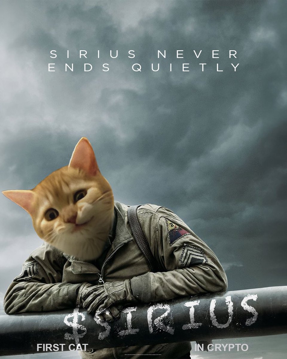 siriusfirstcat's tweet photo. https://t.co/6KIigek534