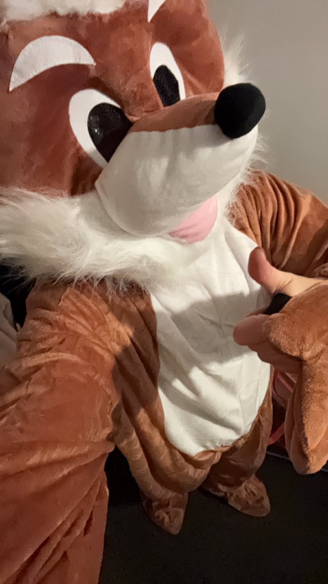 AmyGreatorex's tweet photo. If I don’t make it in boxing, at least I can be a mascot 🙈🦊🤣 the things you do for your friends. Worth it though to see @FoxyJohnson93 smash her debut!! #womensboxing #femaleboxing #boxertofox #mascot #foxy #boxingfans #boxinghype #professionalboxing #professionalboxers https://t.co/kSjUH7uB7n
