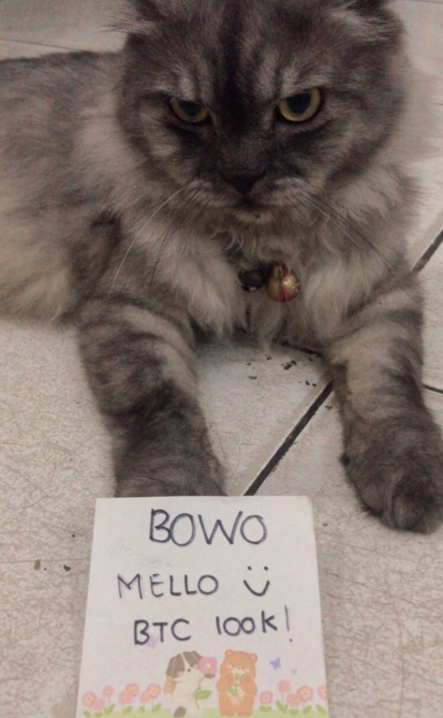 ponpop_cynn's tweet photo. @Chromospace_eth @doodles @WhatsApp @GIPHY @McDonalds #bowo #mello #btc100k https://t.co/QOMEWTp15g
