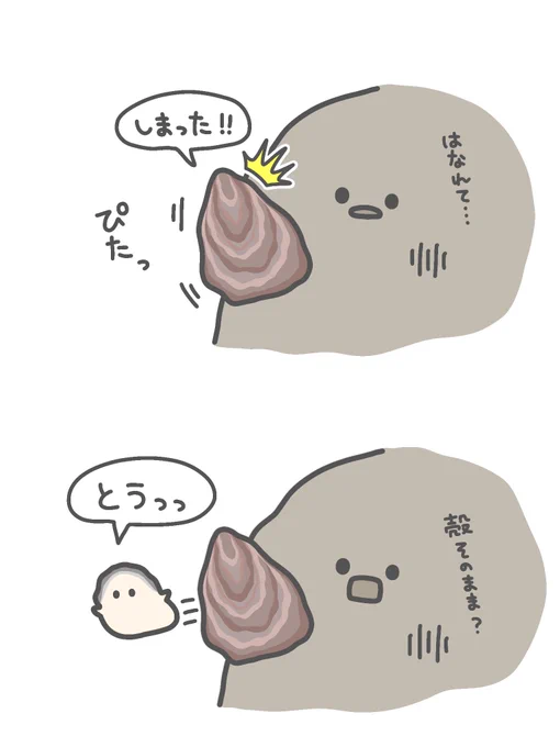 牡蠣は岩にくっつくとほとんど動かないらしい…🦪 