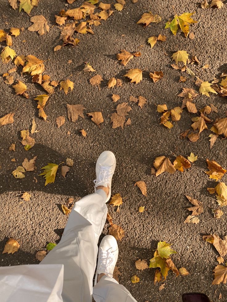 Güçlü olmasan da öyle görün,

Düşen yaprağa basan çok olur….!

🍂🍂