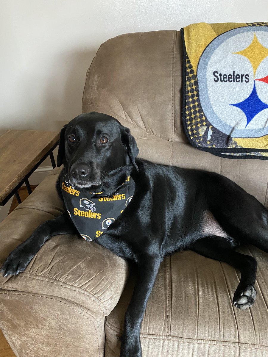 Heather 🫶🏼🖤💛 tweet media