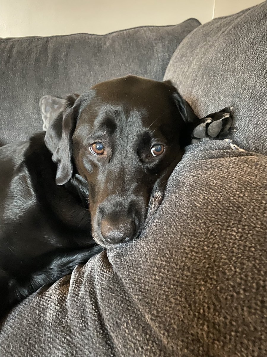 Heather 🫶🏼🖤💛 tweet media