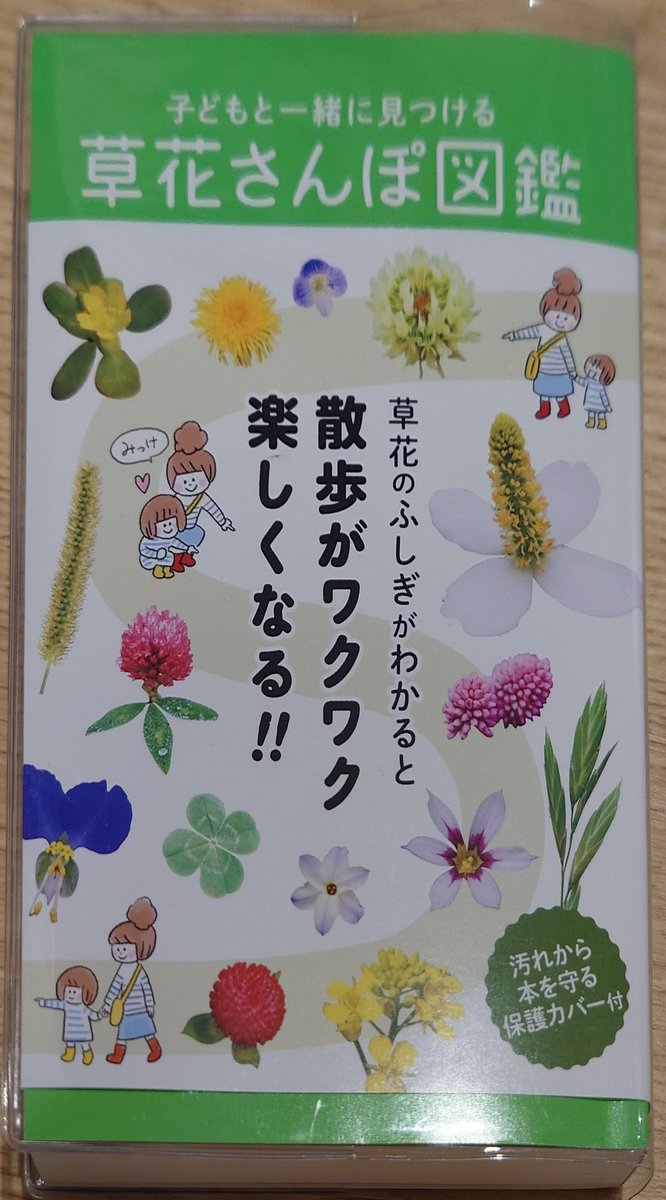 niwaboogreen's tweet photo. 今年は草花の図鑑を買ってみました
この本を持って外出して、たくさんの草花を見つけてくれたらうれしいです

#ブックサンタ2024 https://t.co/aku8vaVVhk