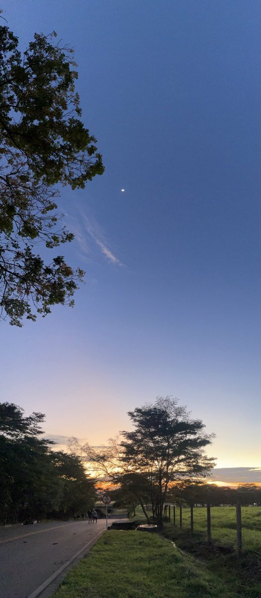 maoherrera7's tweet photo. Vereda el Carmen. #Villavicencio. 5:26 Am. un Vertorama lleno de color!  LLEGAMOS A LOS 910K. #TributoaIsa. #TributoaHash. #CazandoAmaneceres. ⁦⁦@PanoPhotos⁩ #Vertical. https://t.co/i9KapsaJ0F