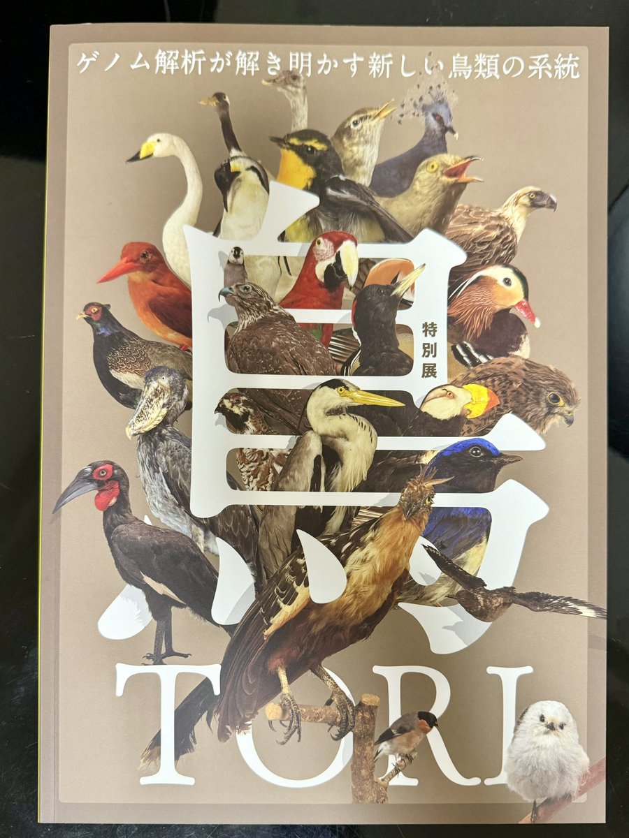 ichikawa_0829's tweet photo. 鳥展行ってきた https://t.co/r0P5TAPZOy