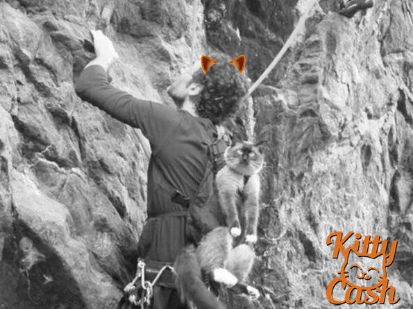 KittyCash_20's tweet photo. 😼🏔️ GM. The view from the top? It’s called the moon.🚀🌕#KittyCash #CAT20 #fractalbitcoin #bitcoin100k #BitcoinATH #unisat #dotswap #Satspumpfun https://t.co/dklE6EJaFR