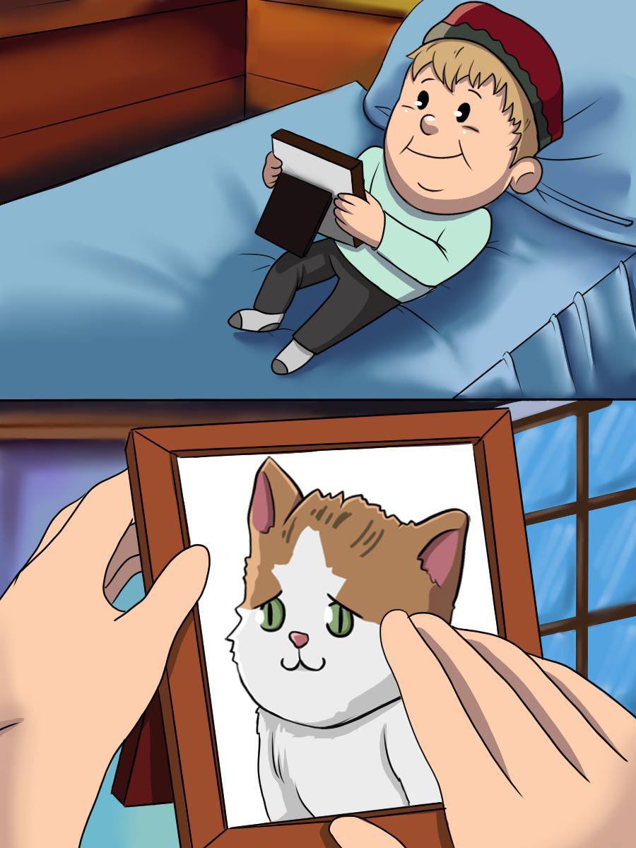 BARSIK (Hasbulla’s Cat) tweet media