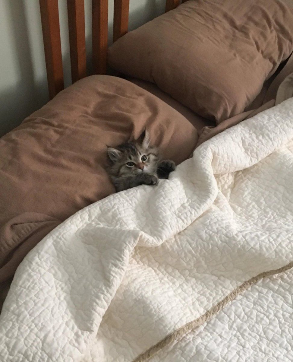 tucked in