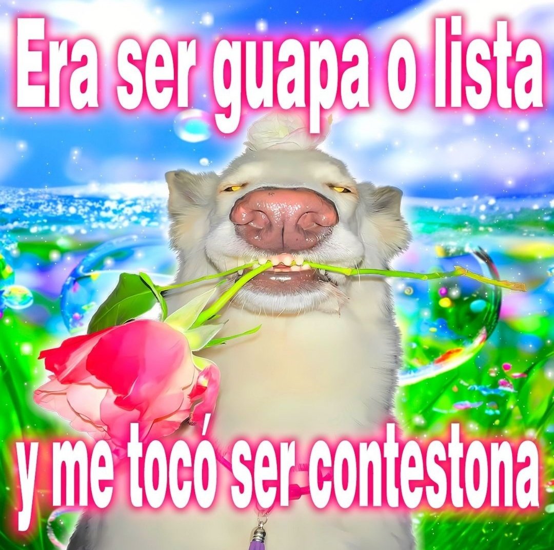 Frases Barbie (@barbie_context) on Twitter photo 